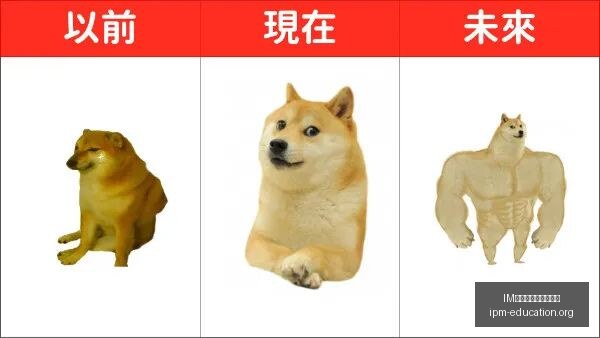 技术前沿速,与天猫新店,开业大,IM体育,IM体育下载,客户端更新